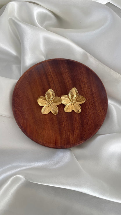 Boucles Azalia