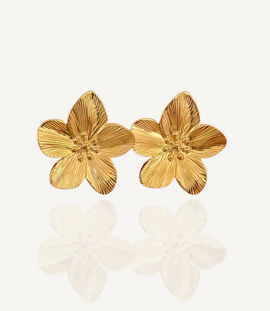Boucles Azalia