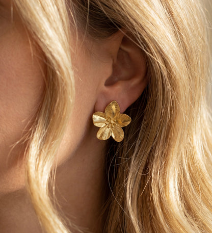 Boucles Azalia